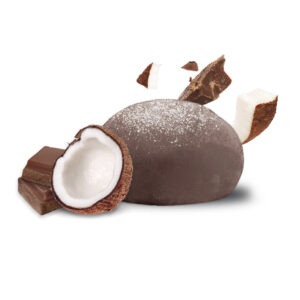 Mochi Choco Coco
